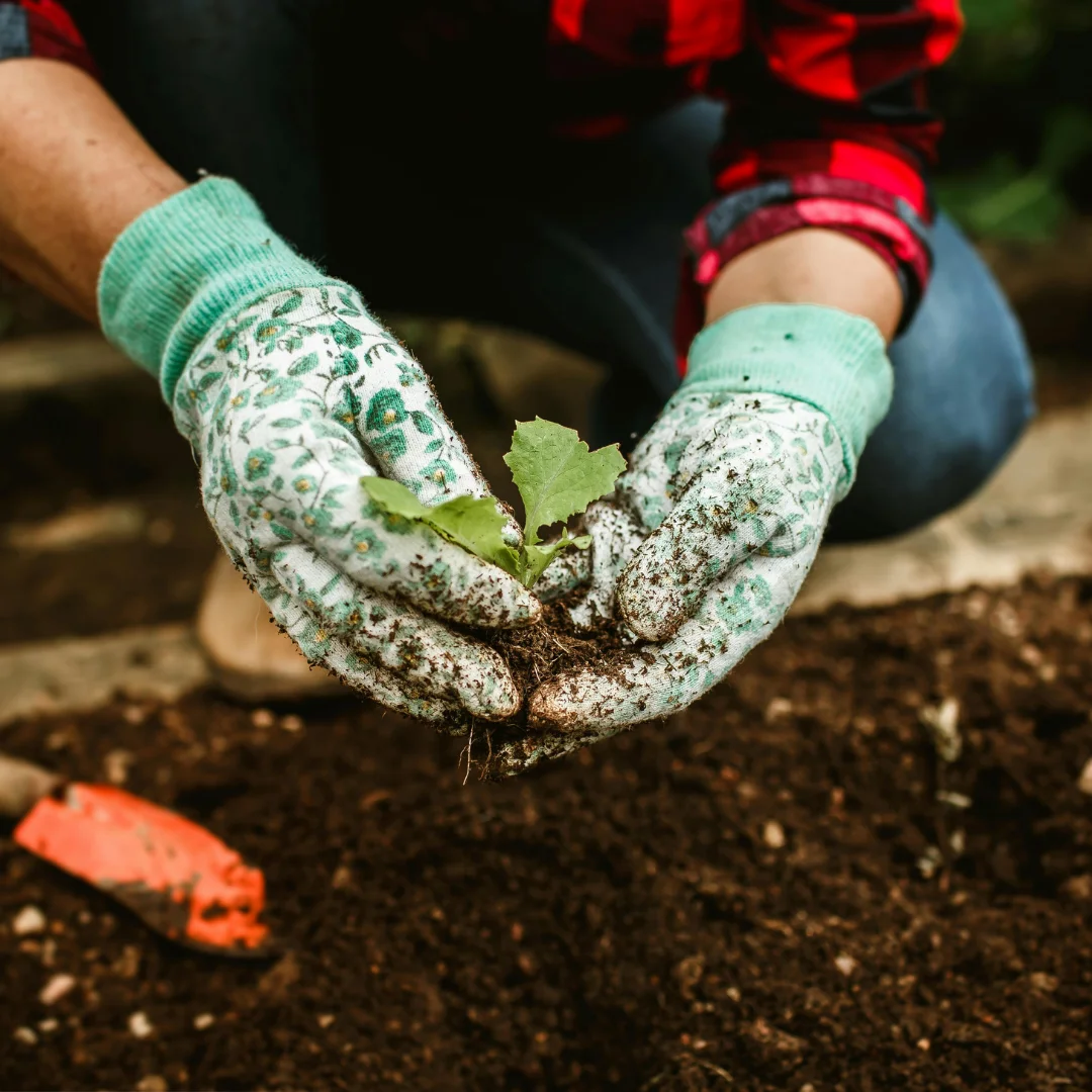 Gardening
